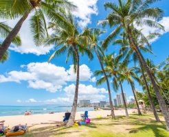 ハワイ旅行におすすめのクレジットカードは？お得で最適なカードは？