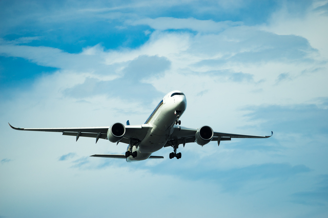 航空機遅延保険
